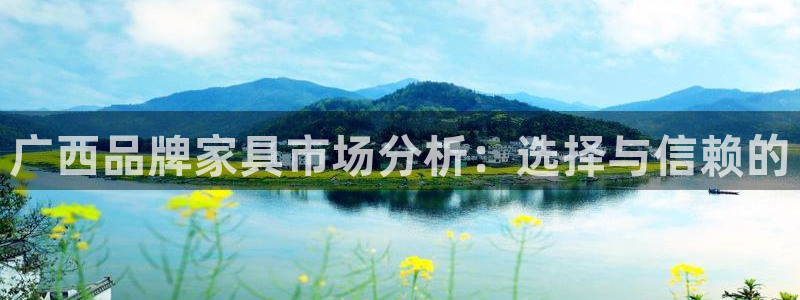 沐鸣3代理：广西品牌家具市场分析：选择与信赖的