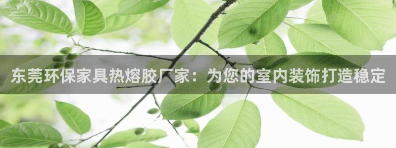 沐鸣注册登录中心：东莞环保家具热熔胶厂家：为您的室内装饰打造