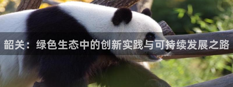 沐鸣官网登陆：韶关：绿色生态中的创新实践与可持续发展之路