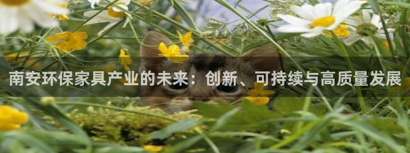 沐鸣平台登陆地址：南安环保家具产业的未来：创新、可持续与高质