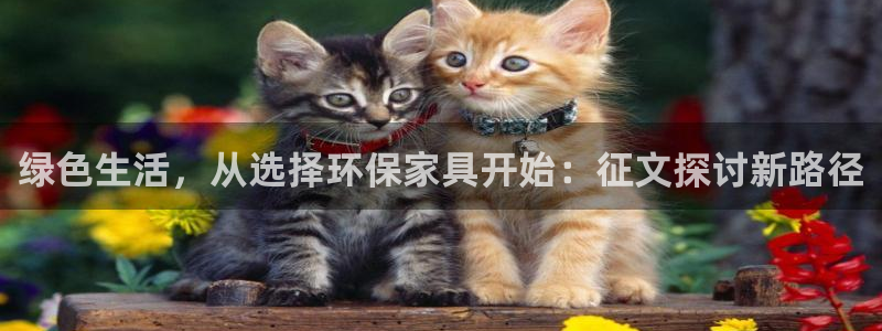 沐鸣app怎样申请退款